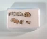 THW Modelle Zubehör Krauthauser